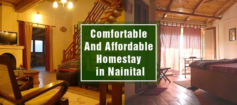 Emerald Trail - Nainital Homestay with affordable price.