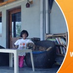 Emerald Trail : Best Pet friendly hotels