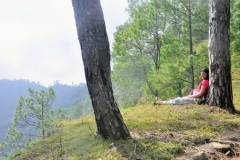 Bhimtal mountains