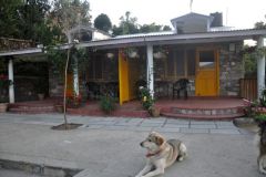 Pet-Friendly Hotel and Resort India
