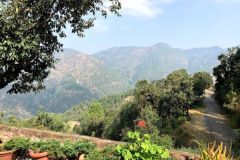 Lush green Kumaon Valley views