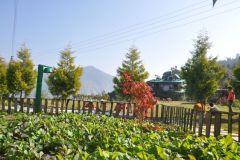 Eco-Friendly Resort in Bhimtal
