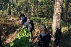Nature TRacKING destination - emerald trail 