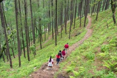 Trekking in bhimtal