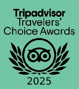 a logo for a tripadvisor traveler's choice awards
